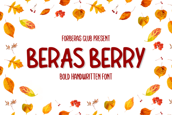 Beras Berry: A Playful Font with Strategic Design Impact